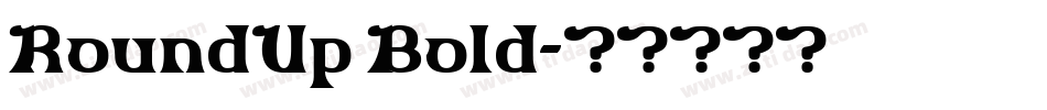 RoundUp Bold字体转换